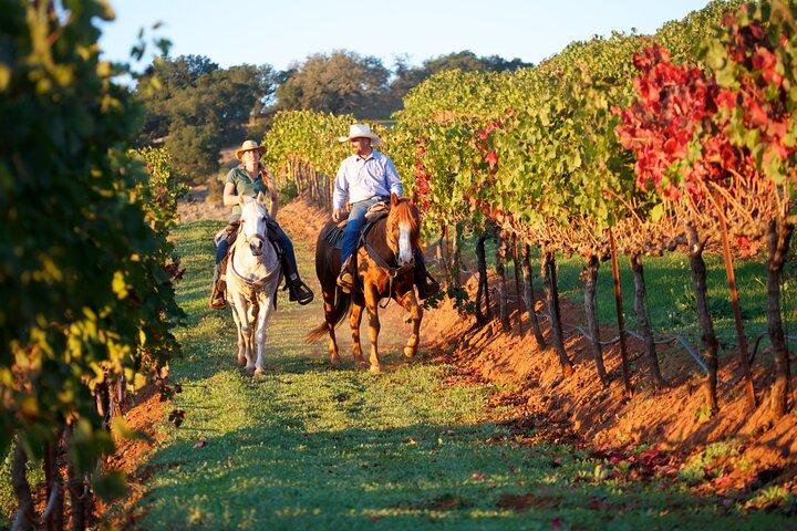 乗馬でブドウ畑を散策した後、グルメランチ
