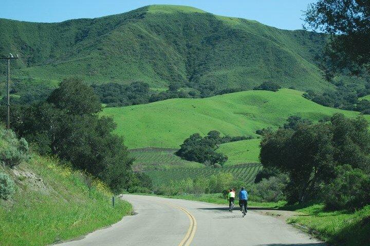 Tour en bicicleta de medio día por la región vinícola desde Solvang, sin almuerzo