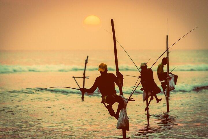 2-tägige Tour nach Bentota Galle & Yala von Colombo