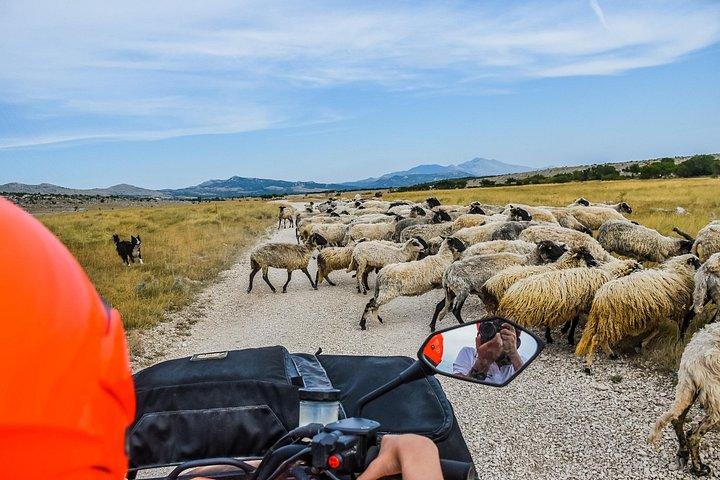 ATV Dinara Mountain tour with picnic