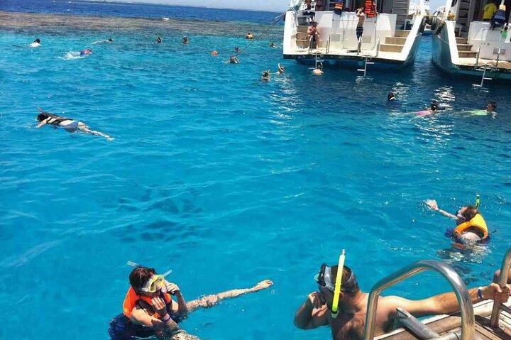Aventure de plongée en apnée à Ras Mohammed & White Island – Sharm