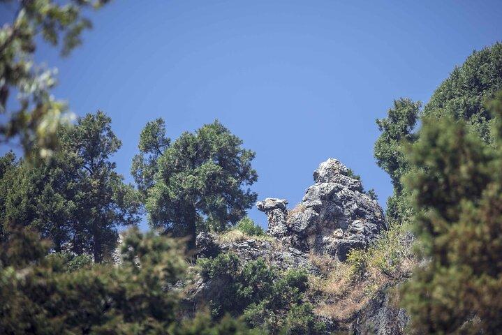 Nature's Trail: excursion privée d'une journée de Dehradun à Mussoorie