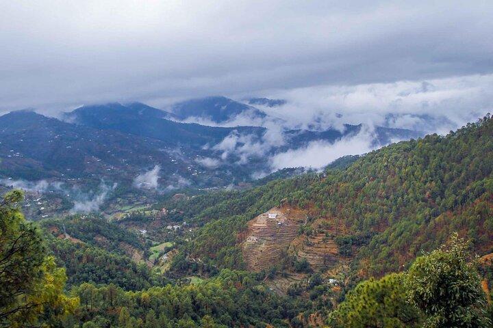Nature's Trail: excursion privée d'une journée de Dehradun à Mussoorie