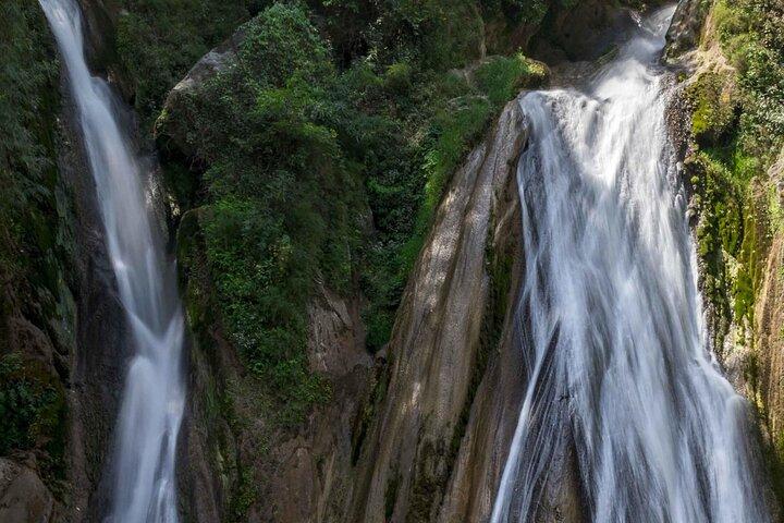 Nature's Trail: excursion privée d'une journée de Dehradun à Mussoorie