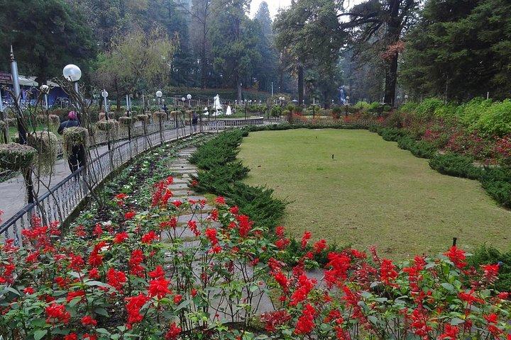 Nature's Trail：DehradunからMussoorieへのプライベート日帰り旅行