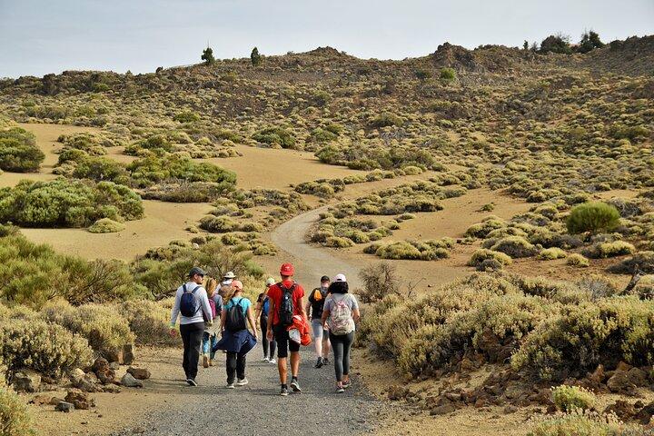 TOUR PRIVADO Parque Nacional do Teide: caminhadas e observação de estrelas