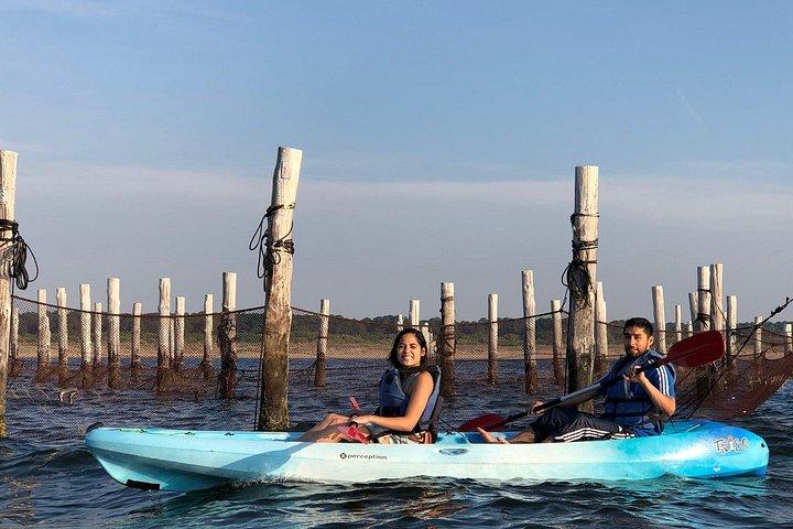 Delfin-Kajak-Tour bei Sonnenuntergang