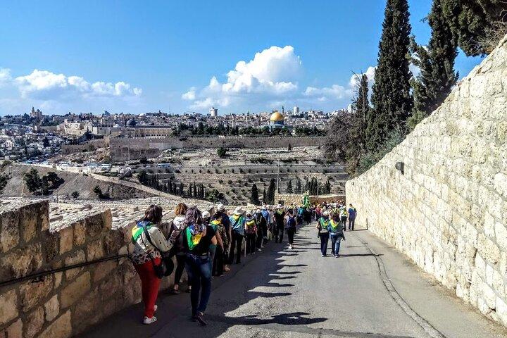 Full Day Jerusalem Tour: I Jesu steg