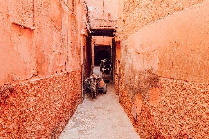 Tour privato a piedi a Marrakech