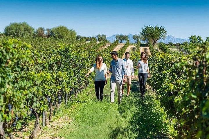 Visite privée à Wine Cellar Penedés