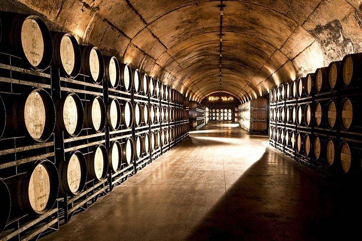 Visite privée à Wine Cellar Penedés