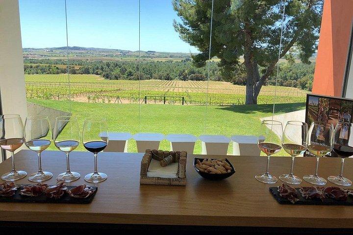Visite privée à Wine Cellar Penedés