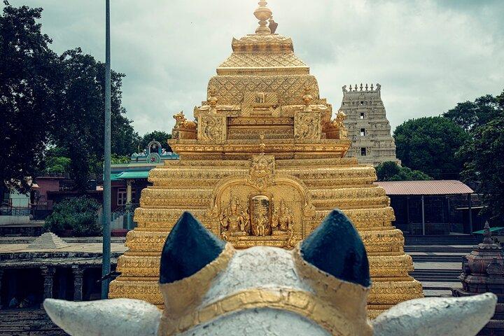 Voyage au Jyotirlinga: excursion d'une journée au temple de Mallikarjuna