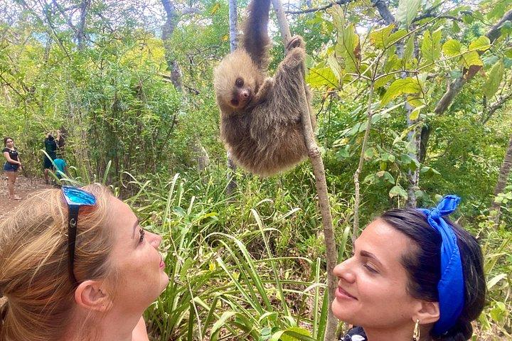 Sloth Sanctuary WildLife Hike