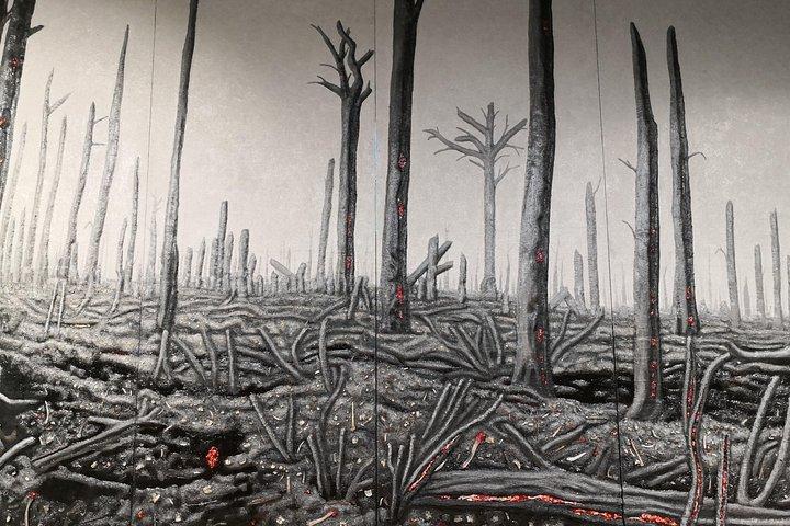 WW1 Somme Battlefields - バンに乗ってパリからのプライベート ツアー (2 人)