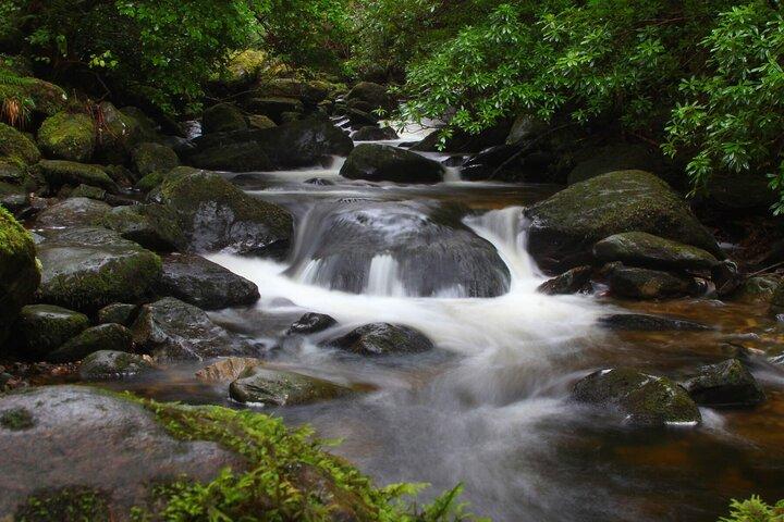Torc mountain & waterfall hike. Killarney. Private guided group. 3½ hours.