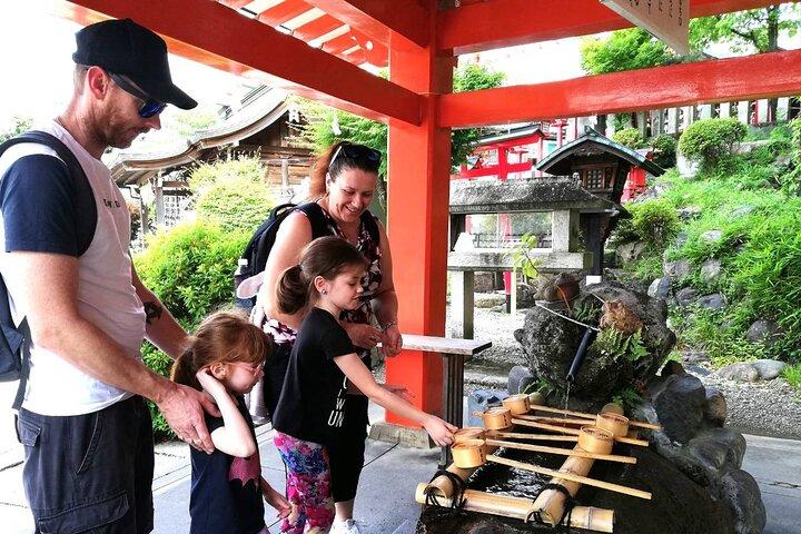 Passeio de meio dia pelo castelo e cidade de Inuyama com Guia