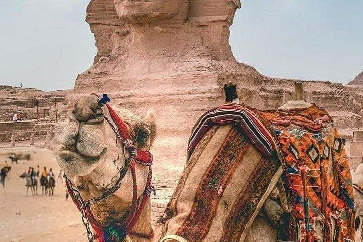 Private 3-Days Trip in Cairo & Alexandria