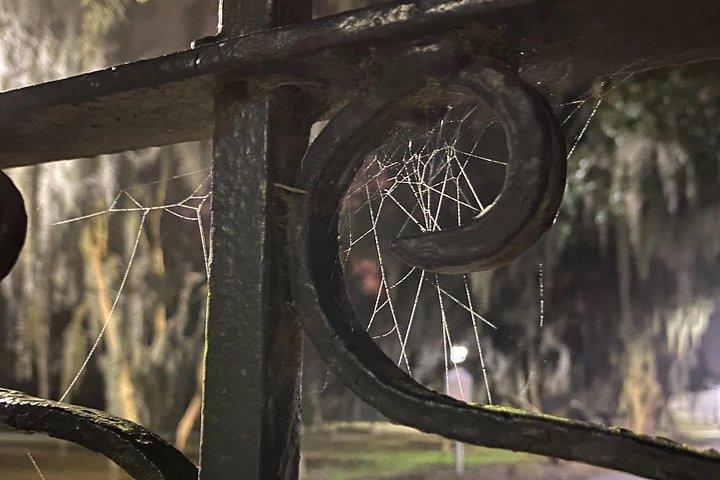 Endless Spirits: Savannah Haunted Pub Crawl, ALL Drinks Included