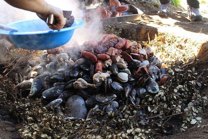 Chiloé Island Fulddagsoplevelse Castro, Ancud, Dalcahue og frokost