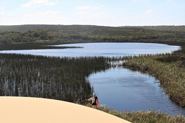 Royal National Park Private Tour