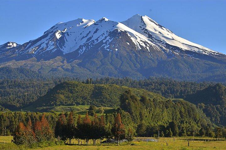 Calbuco Island & Ancient Arrayán Forest Tour von Puerto Varas