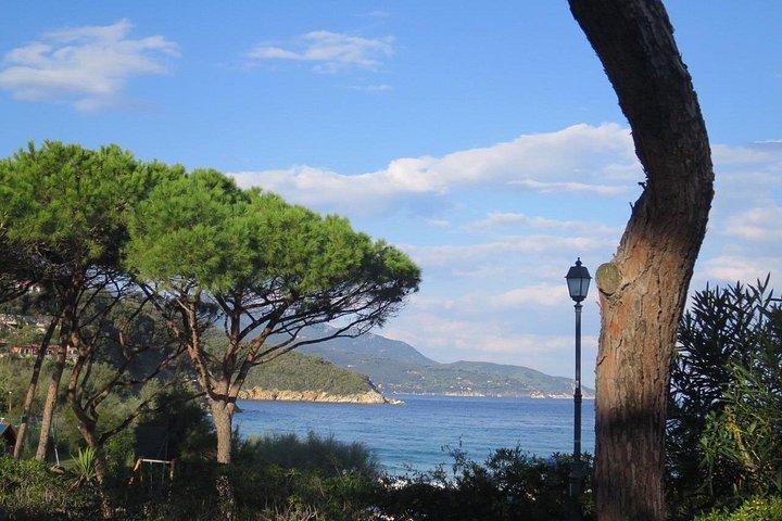Guided Excursion Elba Island - Full Day