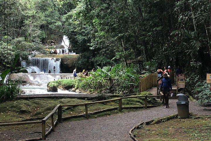 モンテゴベイジャマイカツアーの詳細を見るモンテゴベイからY Sフォールズへ