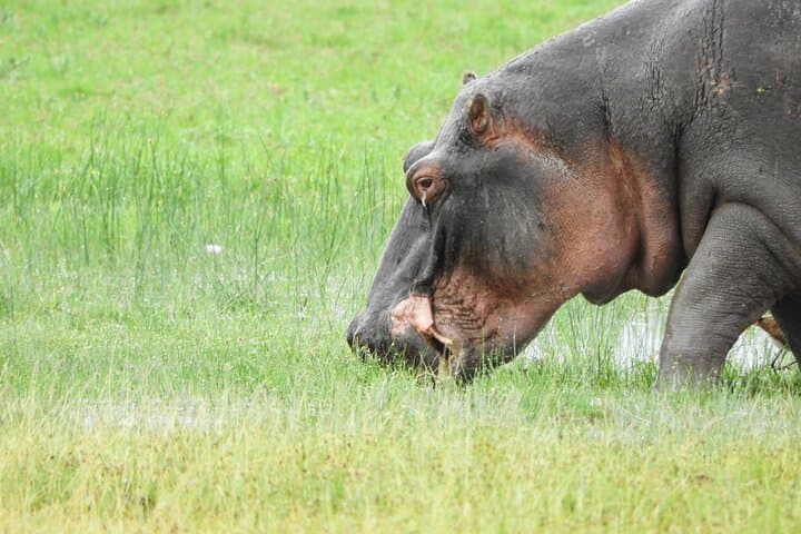Private Adventure Amboseli national Park Day tour