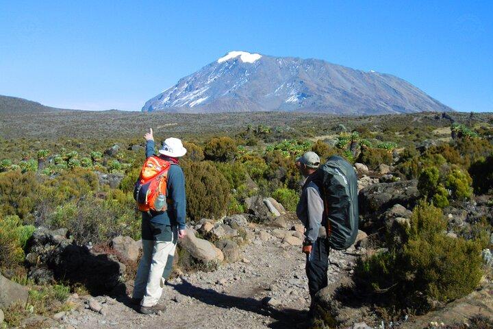 8-Day Mount Kilimanjaro Hiking Tour from Arusha