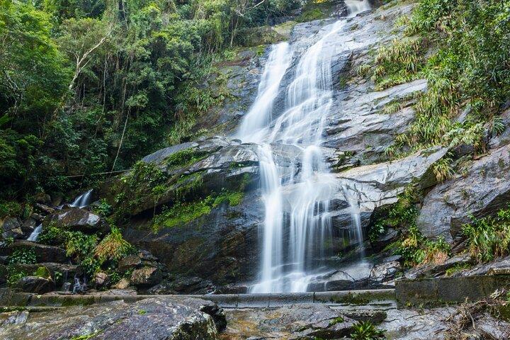Guided Tour in Tijuca Forest with transfer