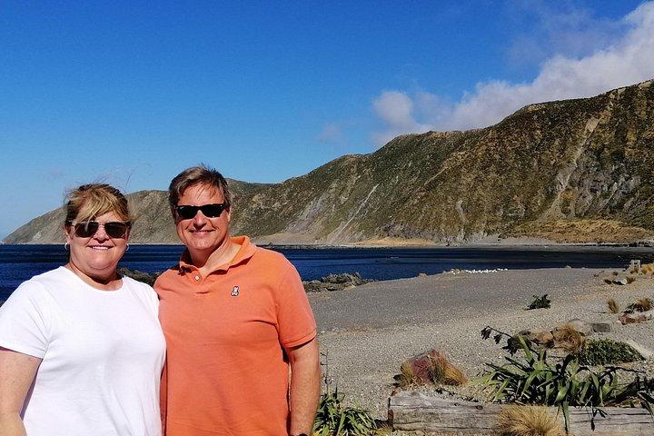 Spectacular Wellington: Half Day Private Sightseeing Tour
