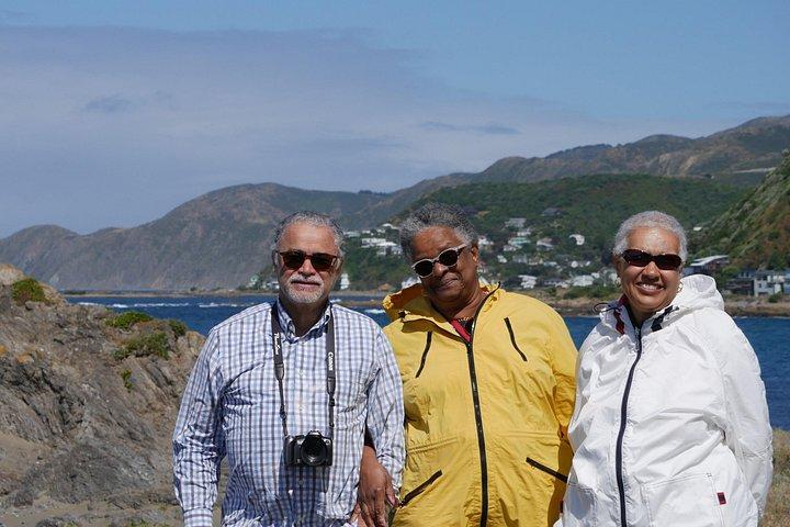 Spectacular Wellington: Half Day Private Sightseeing Tour