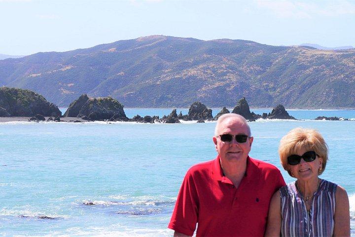 Spectacular Wellington: Half Day Private Sightseeing Tour