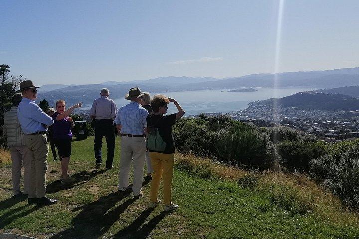 Spectacular Wellington: Half Day Private Sightseeing Tour