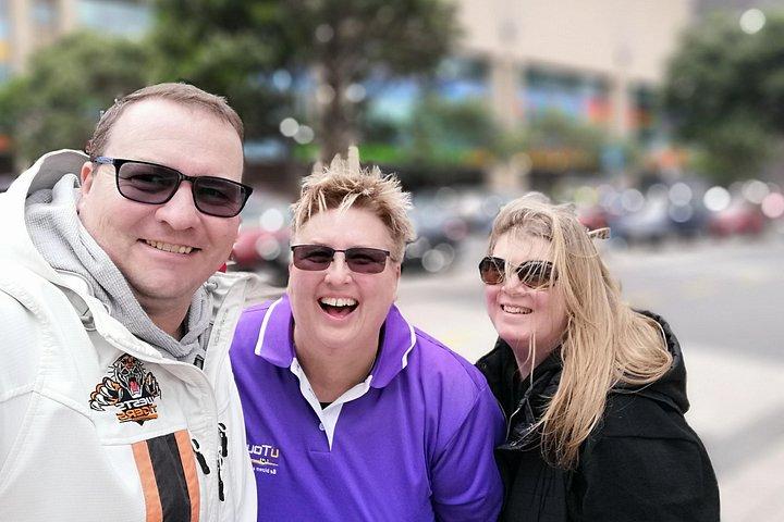 Spectacular Wellington: Half Day Private Sightseeing Tour