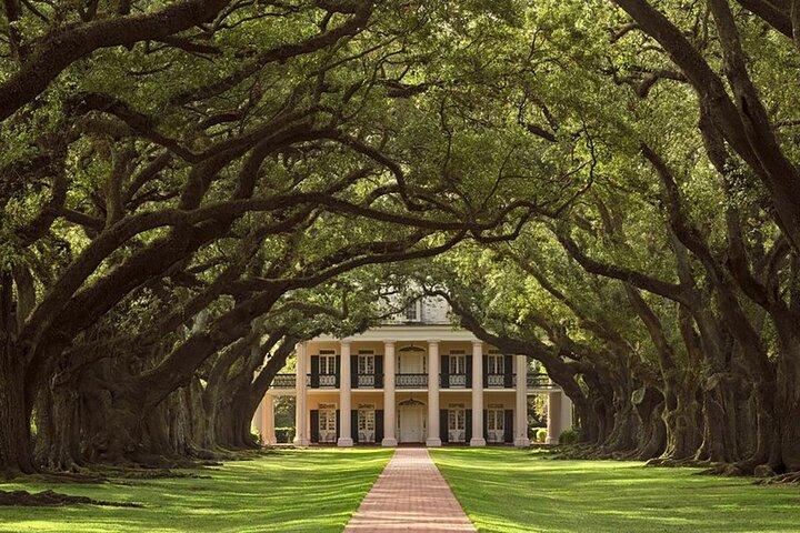 Sumpfbootfahrt und Oak Alley Plantation Tour ab New Orleans