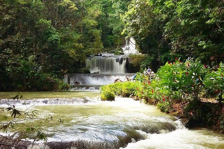 Visite privée de la côte sud au départ de Montego Bay