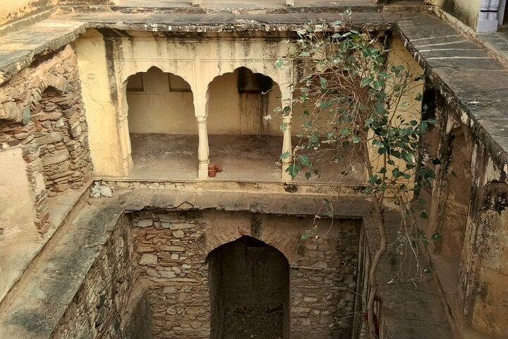 Privat 6 dagar Stepwell Tour i Rajasthan med Ranthambore Wildlife Safari