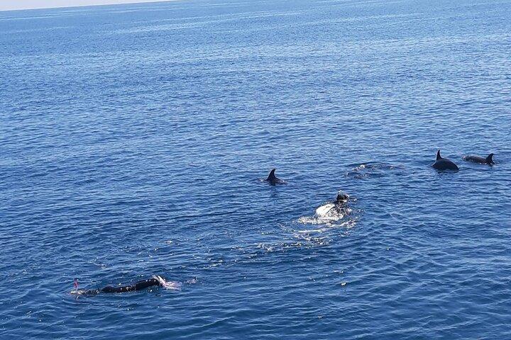 Dolphin tour & banana boat fun with snorkeling from Hurghada