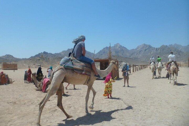 7x1 Mega Safari Sharm El Sheikh