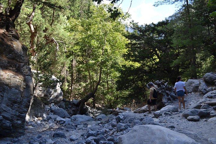 Samaria Gorge Hiking Tour from Chania with Professional Guide