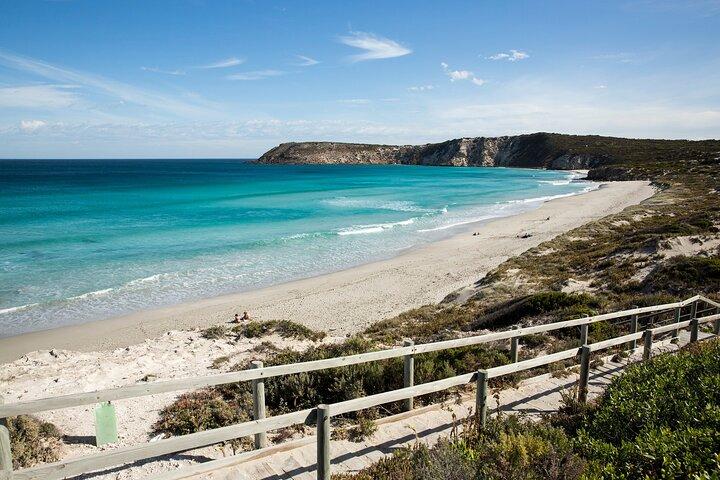 Excursão de um dia na Ilha Kangaroo Sip & See com translado de balsa de retorno de Adelaide