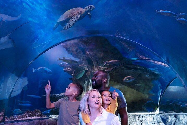 SEA LIFE Aquarium Grapevine-toegangsbewijs