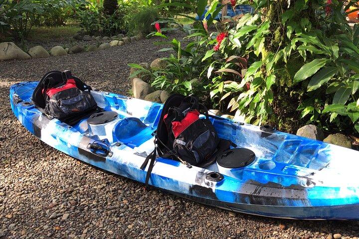 Kayak de mangrove