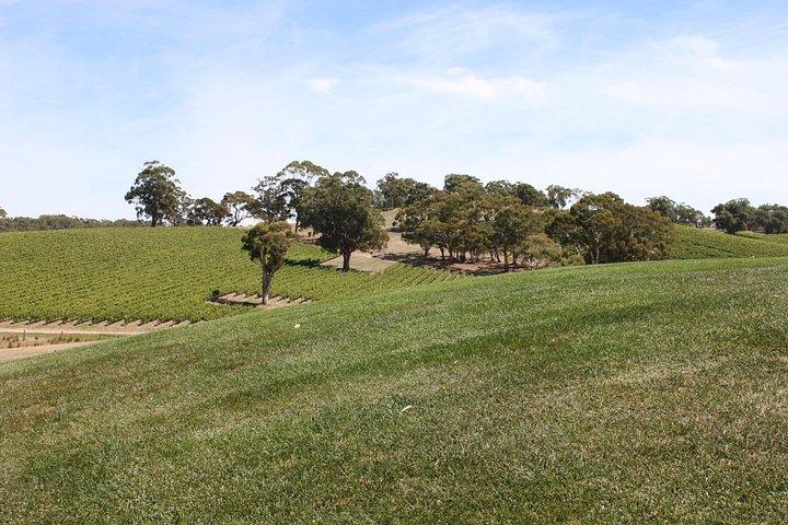 Private Adelaide Hills Wine Region Tour
