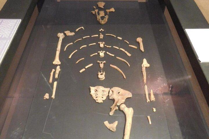 アディスアベバで文化と歴史の旅を体験