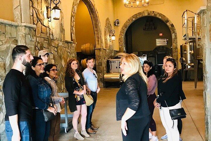 Visita guiada a las bodegas de Virginia y catas desde Washington DC