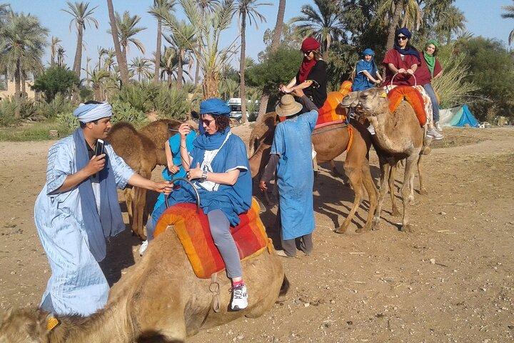 1-Hour Camel Ride in La Palmeraie Marrakech with Hotel Pick up