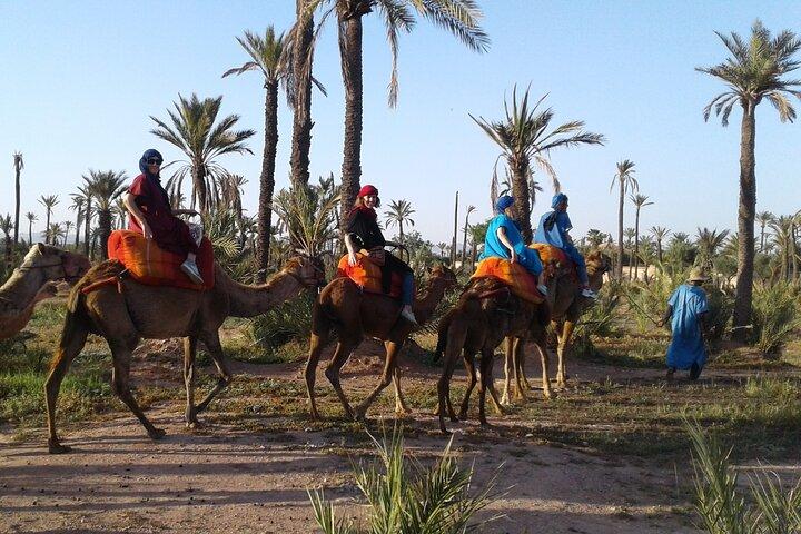 1-Hour Camel Ride in La Palmeraie Marrakech with Hotel Pick up